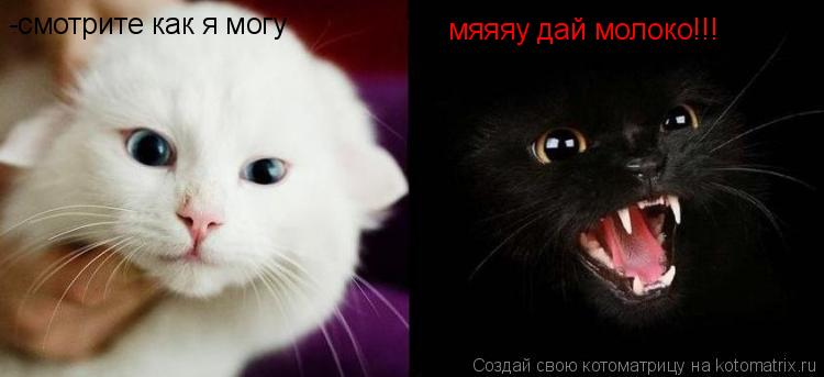 -смотрите как я могу мяяяу дай молоко!!!... Котоматрица: -смотрите как я могу мяяяу дай молоко!!!