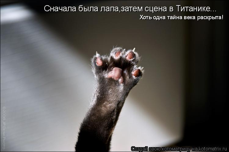 Сначала была лапа,затем сцена в Титанике... Хоть одна тайна века раскрыта!... Котоматрица: Сначала была лапа,затем сцена в Титанике... Хоть одна тайна века раскрыта!