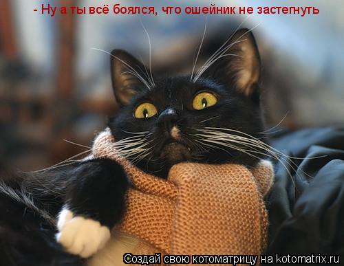 - Ну а ты всё боялся, что ошейник не застегнуть... Котоматрица: - Ну а ты всё боялся, что ошейник не застегнуть
