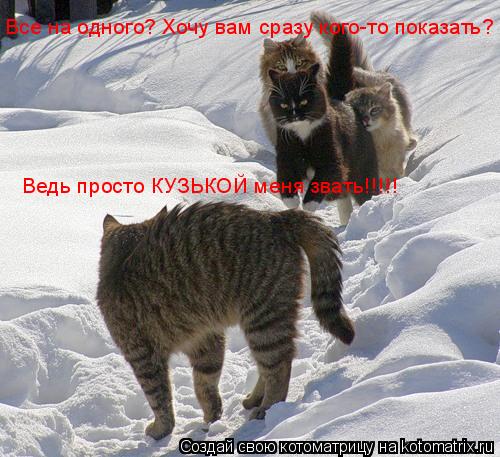 Все на одного? Хочу вам сразу кого-то показать? Ведь просто КУЗЬКОЙ меня звать!!!!!... Котоматрица: Все на одного? Хочу вам сразу кого-то показать? Ведь просто КУЗЬКОЙ меня звать!!!!!