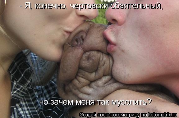 - Я, конечно, чертовски обаятельный, но зачем меня так мусолить?... Котоматрица: - Я, конечно, чертовски обаятельный, но зачем меня так мусолить?