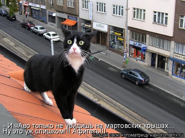 - И чАво только не увидишь на мартовских крышах... Ну это уж слишком!!! Афигеть!!!... Котоматрица: - И чАво только не увидишь на мартовских крышах... Ну это уж слишком!!! Афигеть!!!