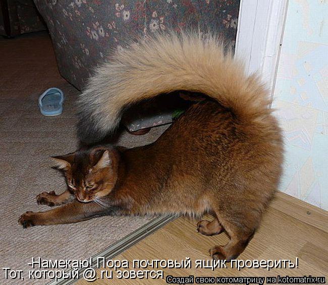 -Намекаю! Пора почтовый ящик проверить! Тот, который @.ru зовется... Котоматрица: -Намекаю! Пора почтовый ящик проверить! Тот, который @.ru зовется