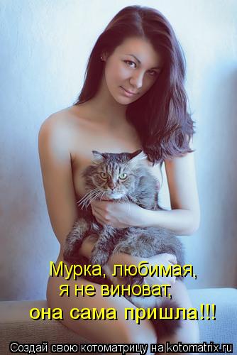 Мурка, любимая, я не виноват, она сама пришла!!!... Котоматрица: Мурка, любимая, я не виноват, она сама пришла!!!