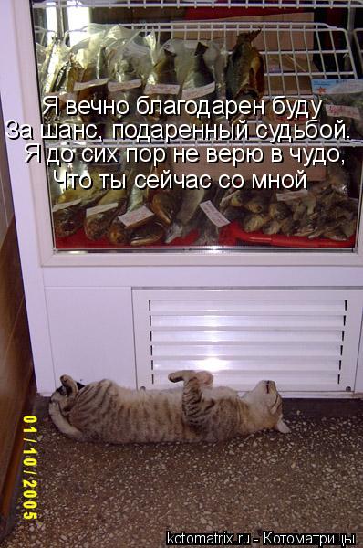 Я вечно благодарен буду За шанс, подаренный судьбой. Я до сих пор не верю в чудо, Что ты сейчас со мн... Котоматрица: Я вечно благодарен буду За шанс, подаренный судьбой. Я до сих пор не верю в чудо, Что ты сейчас со мной