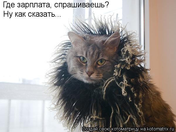 Где зарплата, спрашиваешь? Ну как сказать...... Котоматрица: Где зарплата, спрашиваешь? Ну как сказать...