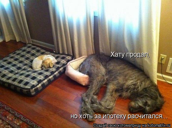 Хату продал, но хоть за ипотеку расчитался...... Котоматрица: Хату продал, но хоть за ипотеку расчитался...