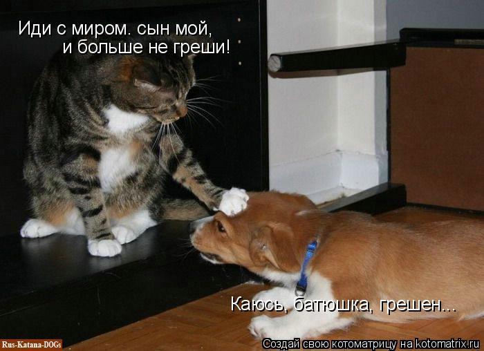 Иди с миром. сын мой, и больше не греши! Каюсь, батюшка, грешен...... Котоматрица: Иди с миром. сын мой, и больше не греши! Каюсь, батюшка, грешен...