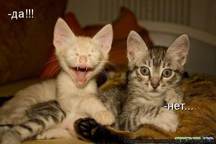 -да!!! -нет...... Котоматрица: -да!!! -нет...