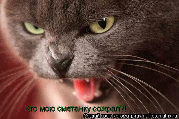 Кто мою сметанку сожрал?!... Котоматрица: Кто мою сметанку сожрал?!