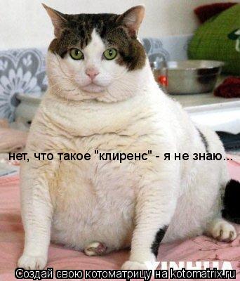 нет, что такое "клиренс" - я не знаю...... Котоматрица: нет, что такое "клиренс" - я не знаю...