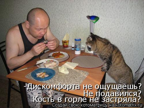 -Дискомфорта не ощущаешь? Не подавился? Кость в горле не застряла?... Котоматрица: -Дискомфорта не ощущаешь? Не подавился? Кость в горле не застряла?