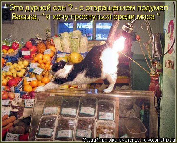 " Это дурной сон ? - с отвращением подумал Васька, " я хочу проснуться среди мяса "... Котоматрица: " Это дурной сон ? - с отвращением подумал Васька, " я хочу проснуться среди мяса "