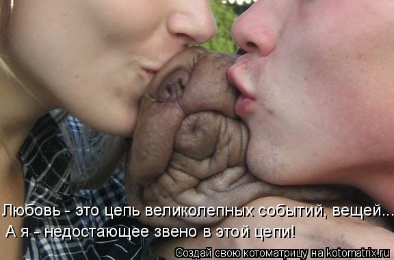 Любовь - это цепь великолепных событий, вещей... А я - недостающее звено в этой цепи!... Котоматрица: Любовь - это цепь великолепных событий, вещей... А я - недостающее звено в этой цепи!