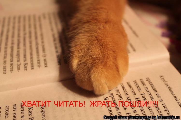 ХВАТИТ ЧИТАТЬ! ЖРАТЬ ПОШЛИ!!!!!... Котоматрица: ХВАТИТ ЧИТАТЬ! ЖРАТЬ ПОШЛИ!!!!!