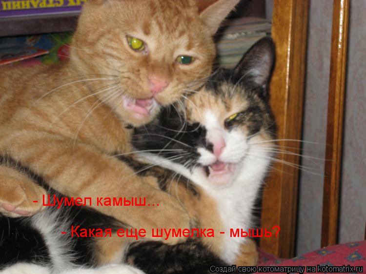 - Шумел камыш... - Какая еще шумелка - мышь?... Котоматрица: - Шумел камыш... - Какая еще шумелка - мышь?