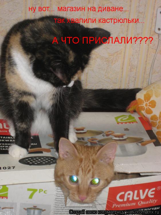 ну вот... магазин на диване... так хвалили кастрюльки... А ЧТО ПРИСЛАЛИ????... Котоматрица: ну вот... магазин на диване... так хвалили кастрюльки... А ЧТО ПРИСЛАЛИ????