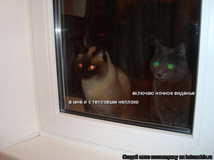 включаю ночное виденье а мне и с тепловым неплохо а мне и с тепловым неплохо... Котоматрица: включаю ночное виденье а мне и с тепловым неплохо а мне и с тепловым неплохо