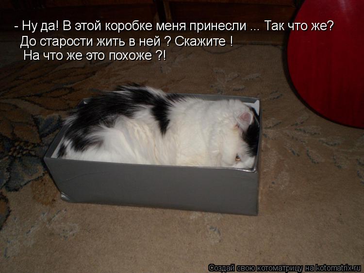 - Ну да! В этой коробке меня принесли ... Так что же? До старости жить в ней ? Скажите ! На что же ... Котоматрица: - Ну да! В этой коробке меня принесли ... Так что же? До старости жить в ней ? Скажите ! На что же это похоже ?!