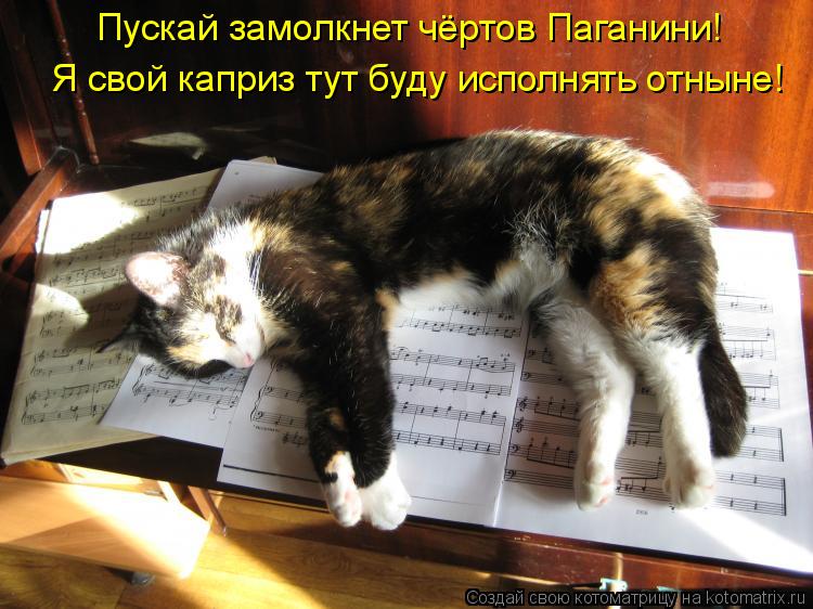 Пускай замолкнет чёртов Паганини! Я свой каприз тут буду исполнять отныне!... Котоматрица: Пускай замолкнет чёртов Паганини! Я свой каприз тут буду исполнять отныне!