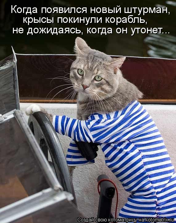 Когда появился новый штурман, крысы покинули корабль, не дожидаясь, когда он утонет...... Котоматрица: Когда появился новый штурман, крысы покинули корабль, не дожидаясь, когда он утонет...