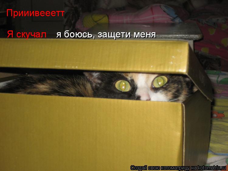 Я скучал Прииивееетт я боюсь, защети меня... Котоматрица: Я скучал Прииивееетт я боюсь, защети меня