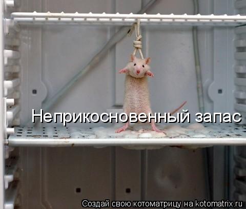 Неприкосновенный запас... Котоматрица: Неприкосновенный запас