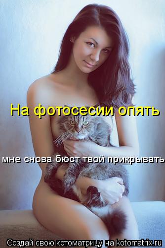 На фотосесии опять мне снова бюст твой прикрывать... Котоматрица: На фотосесии опять мне снова бюст твой прикрывать