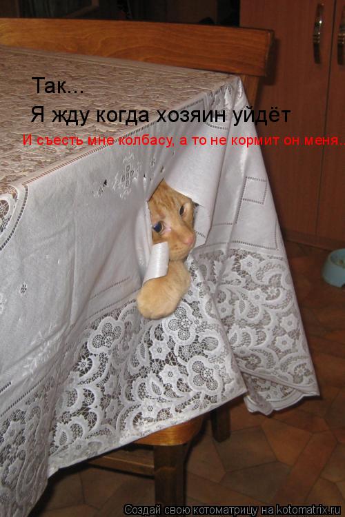 Так... Я жду когда хозяин уйдёт И съесть мне колбасу, а то не кормит он меня...... Котоматрица: Так... Я жду когда хозяин уйдёт И съесть мне колбасу, а то не кормит он меня...