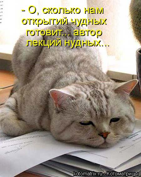 Котоматрица: - О, сколько нам  открытий чудных готовит... автор лекций нудных...