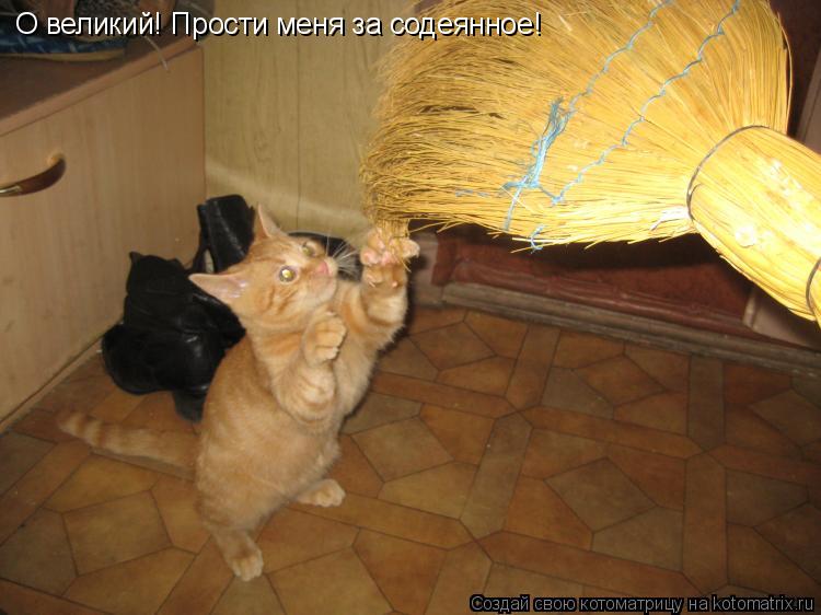 О великий! Прости меня за содеянное!... Котоматрица: О великий! Прости меня за содеянное!