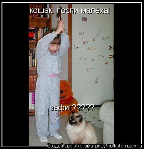 кошак. поспи малёха! зафиг?????... Котоматрица: кошак. поспи малёха! зафиг?????