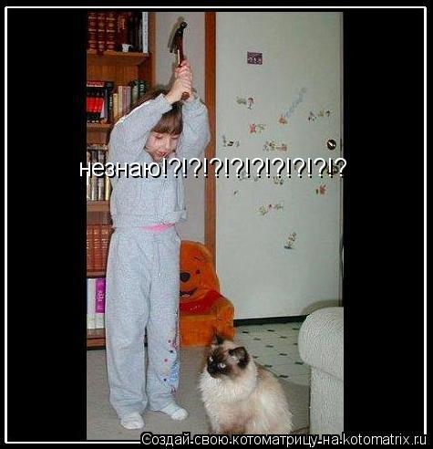 незнаю!?!?!?!?!?!?!?!?!?... Котоматрица: незнаю!?!?!?!?!?!?!?!?!?
