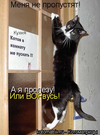 Меня не пропустят! А я пролезу! Кухня Или ВОРвусь!... Котоматрица: Меня не пропустят! А я пролезу! Кухня Или ВОРвусь!
