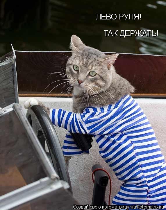 ЛЕВО РУЛЯ! ТАК ДЕРЖАТЬ!... Котоматрица: ЛЕВО РУЛЯ! ТАК ДЕРЖАТЬ!