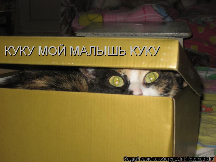 КУКУ МОЙ МАЛЫШЬ КУКУ... Котоматрица: КУКУ МОЙ МАЛЫШЬ КУКУ