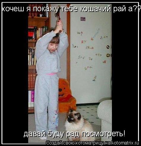 хочеш я покажу тебе кошачий рай а?? давай буду рад посмотреть!... Котоматрица: хочеш я покажу тебе кошачий рай а?? давай буду рад посмотреть!