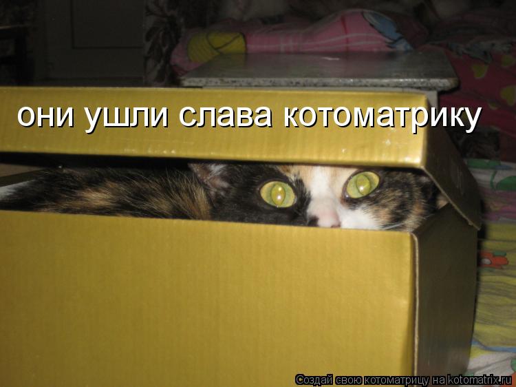 они ушли слава котоматрику... Котоматрица: они ушли слава котоматрику