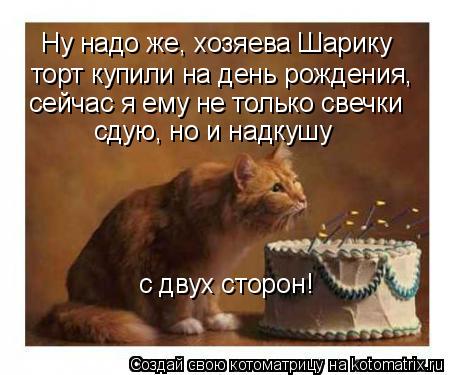 Ну надо же, хозяева Шарику торт купили на день рождения, сейчас я ему не только свечки сдую, но и н... Котоматрица: Ну надо же, хозяева Шарику торт купили на день рождения, сейчас я ему не только свечки сдую, но и надкушу с двух сторон!