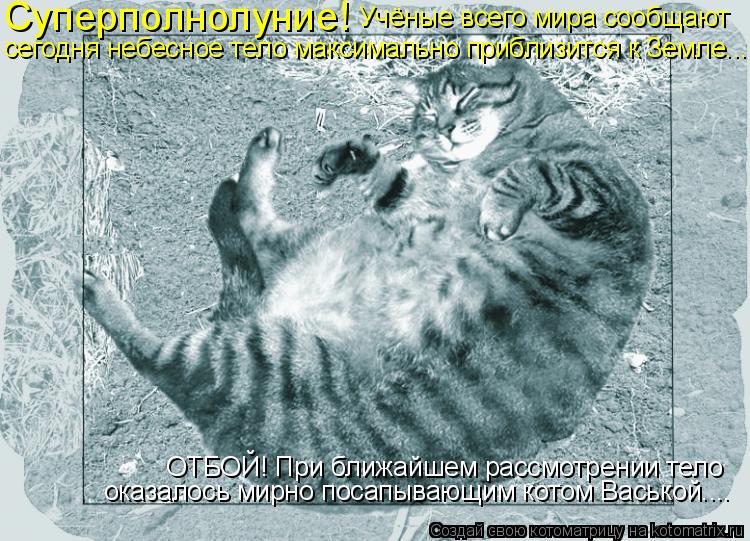 ОТБОЙ! При ближайшем рассмотрении тело оказалось мирно посапывающим котом Васькой.... сегодня небесно... Котоматрица: ОТБОЙ! При ближайшем рассмотрении тело оказалось мирно посапывающим котом Васькой.... сегодня небесное тело максимально приблизится к Земл