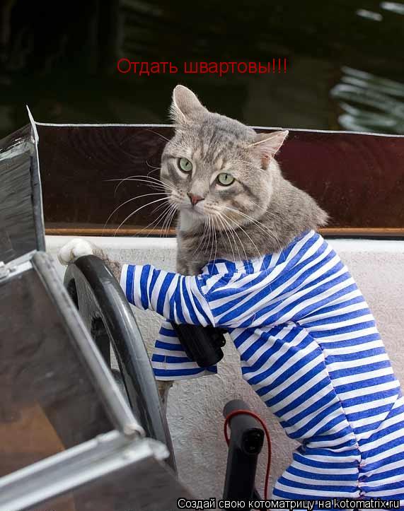 Отдать швартовы!!!... Котоматрица: Отдать швартовы!!!