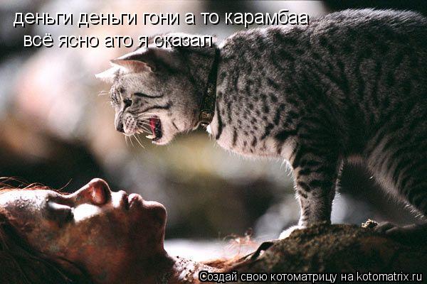 деньги деньги гони а то карамбаа всё ясно ато я сказал... Котоматрица: деньги деньги гони а то карамбаа всё ясно ато я сказал