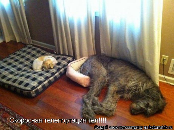 Скоросная телепортация тел!!!!... Котоматрица: Скоросная телепортация тел!!!!