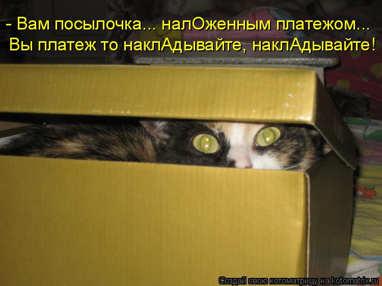 - Вам посылочка... налОженным платежом... Вы платеж то наклАдывайте, наклАдывайте!... Котоматрица: - Вам посылочка... налОженным платежом... Вы платеж то наклАдывайте, наклАдывайте!
