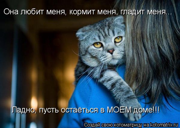 Она любит меня, кормит меня, гладит меня... Ладно, пусть остаёться в МОЕМ доме!!!... Котоматрица: Она любит меня, кормит меня, гладит меня... Ладно, пусть остаёться в МОЕМ доме!!!