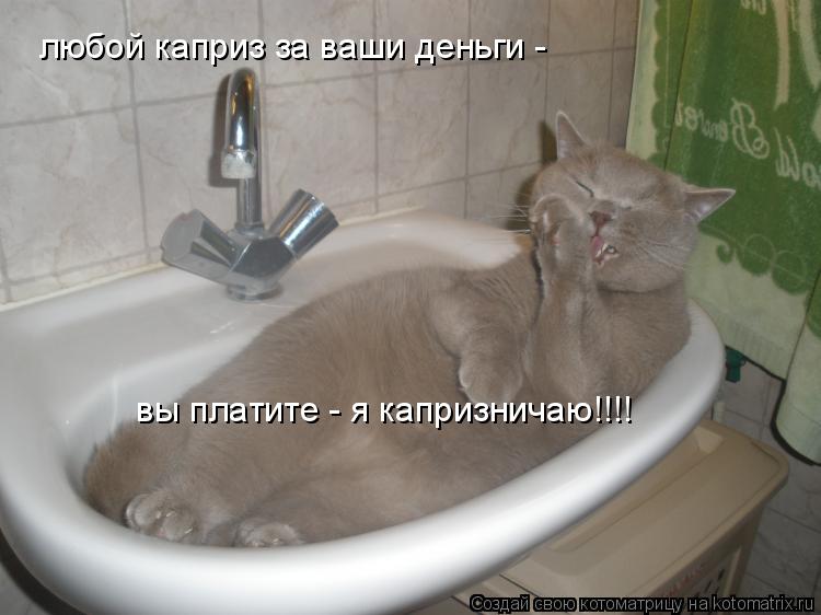 любой каприз за ваши деньги - вы платите - я капризничаю!!!!... Котоматрица: любой каприз за ваши деньги - вы платите - я капризничаю!!!!