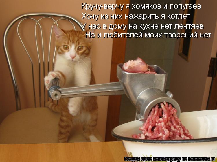 Кручу-верчу я хомяков и попугаев Хочу из них нажарить я котлет У нас в дому на кухне нет лентяев Но и... Котоматрица: Кручу-верчу я хомяков и попугаев Хочу из них нажарить я котлет У нас в дому на кухне нет лентяев Но и любителей моих творений нет
