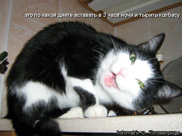 это по какой диете вставать в 3 часа ночи и тырить колбасу... Котоматрица: это по какой диете вставать в 3 часа ночи и тырить колбасу