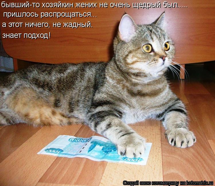 пришлось распрощаться... а этот ничего, не жадный. знает подход! бывший-то хозяйкин жених не очень ще... Котоматрица: пришлось распрощаться... а этот ничего, не жадный. знает подход! бывший-то хозяйкин жених не очень щедрый был.....