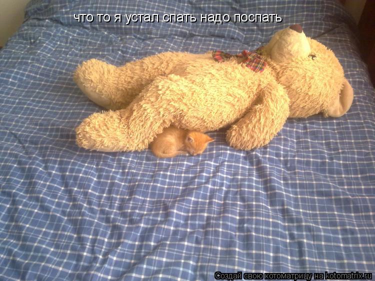 что то я устал спать надо поспать... Котоматрица: что то я устал спать надо поспать